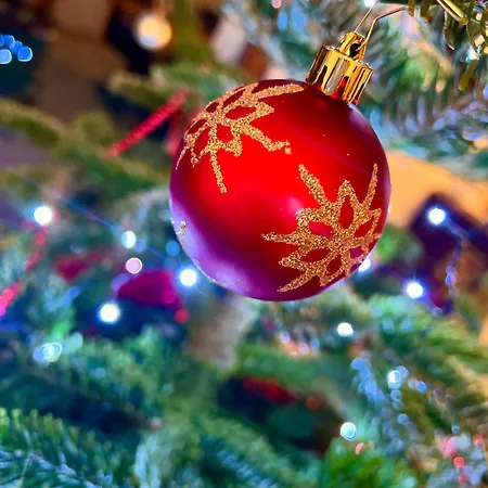 La Balade Enchantee- 6 Personnes - Ardenne Belge *