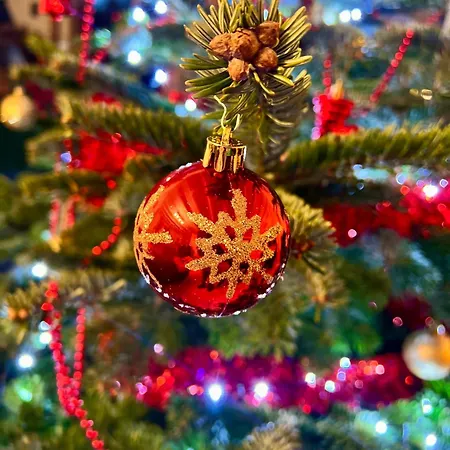 La Balade Enchantee- 6 Personnes - Ardenne Belge Σπίτι διακοπών