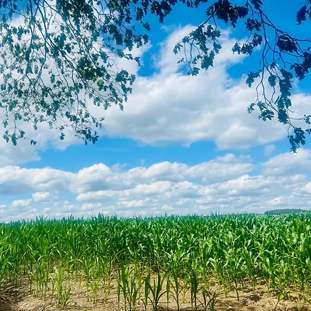 펜션 La Balade Enchantee- 6 Personnes - Ardenne Belge *