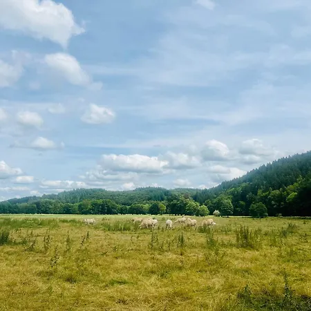 Σπίτι διακοπών La Balade Enchantee- 6 Personnes - Ardenne Belge *