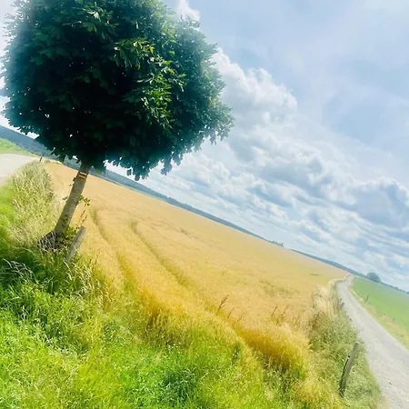 La Balade Enchantee- 6 Personnes - Ardenne Belge 펜션 *