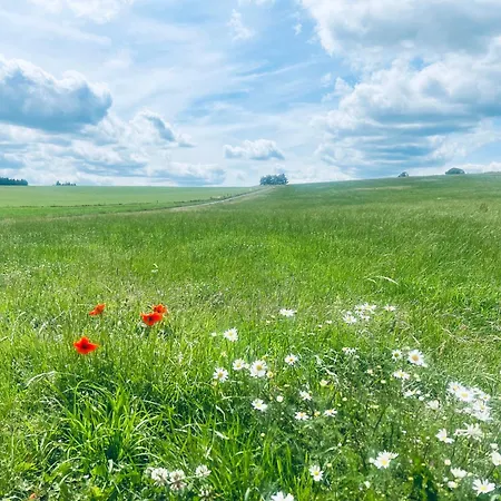 La Balade Enchantee- 6 Personnes - Ardenne Belge