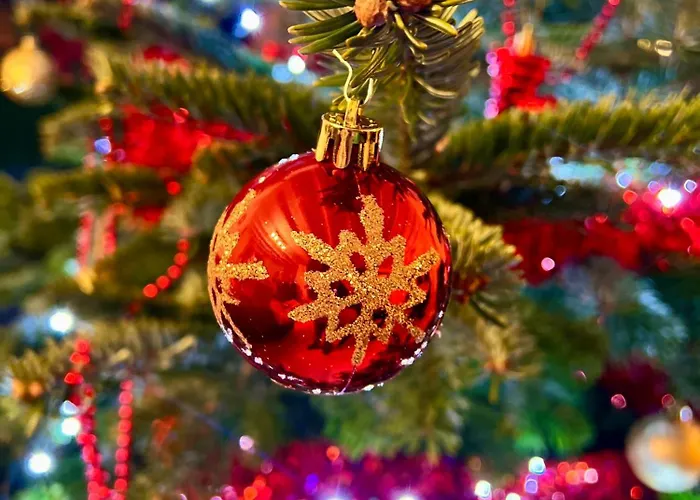 La Balade Enchantee- 6 Personnes - Ardenne Belge Holiday home