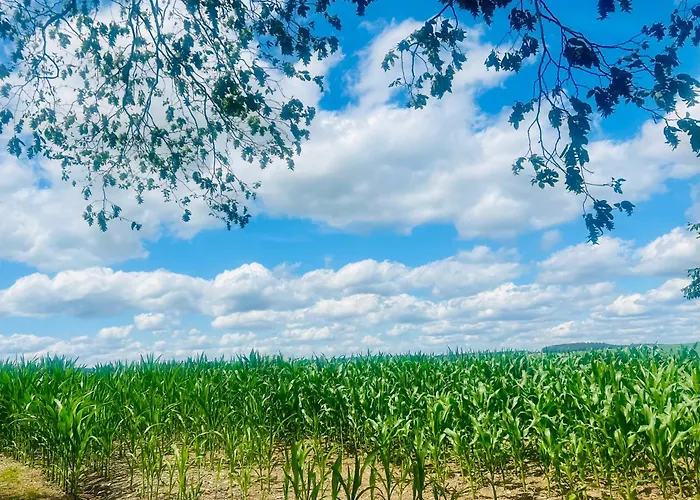 Holiday home La Balade Enchantee- 6 Personnes - Ardenne Belge *