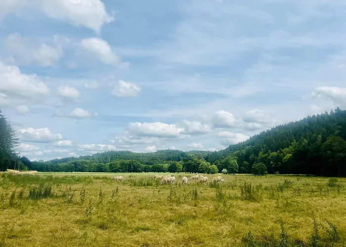 Holiday home La Balade Enchantee- 6 Personnes - Ardenne Belge *