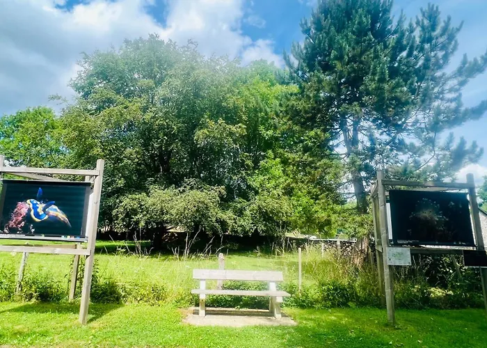 Holiday home La Balade Enchantee- 6 Personnes - Ardenne Belge Tenneville