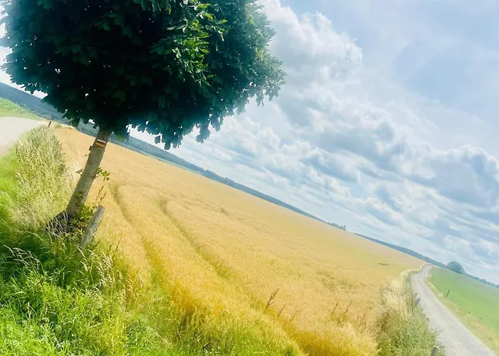 La Balade Enchantee- 6 Personnes - Ardenne Belge Holiday home *